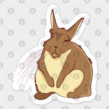 Image result for viscacha