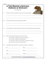 Ecological Pyramids Worksheet Answer Key Carnivores Herbivores Or Omnivore In 2020 Carnivores Herbivores Omnivores Ecological Pyramid Carnivores