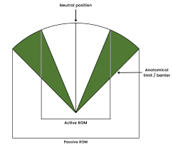 Image result for Musculoskeletal Manipulation