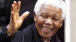 Ana Neumann Archives