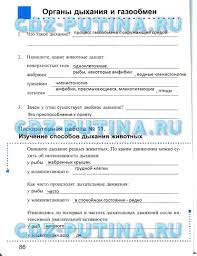 кроссворд по физике 7 класс с ответами и вопросами Rabochaya Tetrad Po Fizike 8 Klass Minkova Ivanova Otvety Onlajn Algebra I Algebra Photoshop Cs6