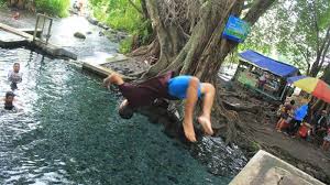 סרטונים קשורים (seperti air dalam kolam). Umbul Manten Mata Air Alami Di Klaten Yang Jernih Seperti Kaca Dasar Kolam Pun Terlihat Jelas Tribunnews Com Mobile