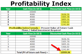 1) the payback (2) the average rate of return (3) the net present value and profitability index, and (4) the internal rate of return. Profitability Index Meaning Example How To Interpret