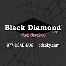 Commonwealth pest control is your best choice. Top 3 Best Pest Exterminators In Bowling Green Ky Angi