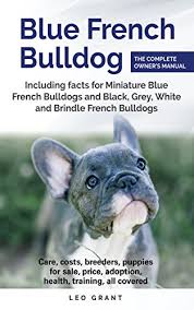 If you require a pup with breeding rights or for show quality with a top pedigree then expect to pay from $7,000 upwards to $10,000 or even more. Blue French Bulldog Care Costs Price Adoption Health Training And How To Find Breeders And Puppies For Sale Ebook Grant Leo Amazon Ca Kindle Store