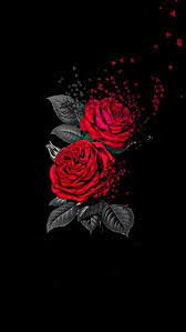 Pin By Bipolaraf On Roses Black Wallpaper Iphone Dark Rose Wallpaper Red Roses Wallpaper
