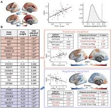 Fasha sandha sebelum & selepas popular (heroin drama lara aishah) drama232. Schizotypy Related Magnetization Of Cortex In Healthy Adolescence Is Colocated With Expression Of Schizophrenia Related Genes Sciencedirect