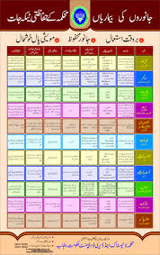 Downloads Niazi Animal Clinic