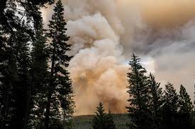(ap photo/noah berger) santa rosa firefighters retract a hose while battling. Mandatory Evacuation Order Issued Due To Dixie Fire Sheriff S Office Says