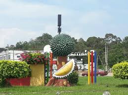 Apabila bercerita mengenai bandar segamat dari perspektif nostalgianya, kebiasaannya orang segamat akan mengaitkan kedai dibawah pokok sehingga ia dikenali sebagai kedai bawah pokok. 11 Tempat Menarik Di Segamat Yang Wajib Anda Kunjungi Ammboi