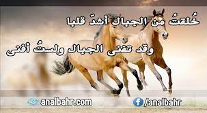 أجمل أبيات الشعر الجاهلي في الفخر نزعة حب وقوة واعتزاز بالنفس أنا البحر