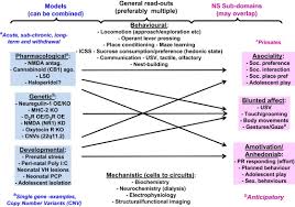 Negative Symptoms Of Schizophrenia Clinical Characteristics Pathophysiological Substrates Experimental Models And Prospects For Improved Treatment Sciencedirect