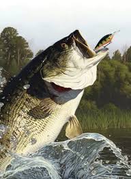 You will not be able to unlock more lakes in this version. Rapala Fishing Pro Series For Nintendo Switch Nintendo Game Details