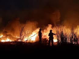 Incendios en el delta, en varias zonas rurales, ahora en córdoba. Continuan Los Incendios En Cordoba Y Esperan Por Las Lluvias Sociedad El Intransigente