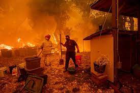 Maybe you would like to learn more about one of these? Estado Da California Registra O Pior Incendio Da Sua Historia Veja