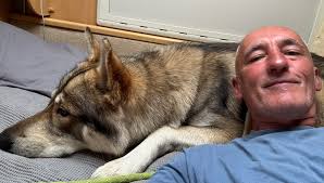 💥Police involved 💥 McCullagh gardens These 2 have come in come down side  of house to try a steal motorbike that was covered and has a lock on.  Anyone with any information