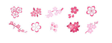 Angegeben werden jeweils der erste und der voraussichtlich letzte tag der blüte. Kirschblute Diese 10 Sorten Bluhen In Japan Japandigest