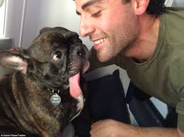 Oscar Isaac with Carrie Fisher's dog Gary