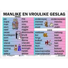 Pin By Unandri Scheeres On Shool In 2020 2nd Grade Spelling Words Language Worksheets Afrikaans Language