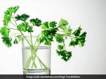 Image result