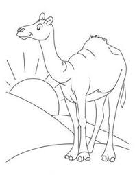 The driest deserts are the atacama desert of northern chile, south america, and the lut desert in eastern iran; 210 Bestcoloring Ideas Coloring Pages Printable Coloring Pages Coloring Pages For Kids