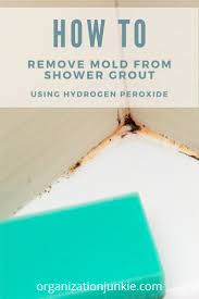 Allow the product to saturate into the grout for a few moments and then scrub with a stiff brush. How To Remove Mold From Tile Grout Permanently Organization Junkie