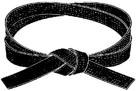 Get My Black Belt Black Belt Martial Arts Black Belt Karate Karate Belt