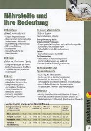 Weitere ideen zu deckenleisten, hausverschönerung, wandvertäfelung. Hasen Und Kaninchen