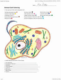 Animal Cell Worksheet Answers Elegant Apologia Biology In 2020 Animal Cells Worksheet Plant And Animal Cells Cells Worksheet