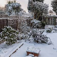 The most popular things to do in winter garden with kids according to tripadvisor travelers are this is the version of our website addressed to speakers of english in the united states. 7 Garden Chores To Do Before Winter