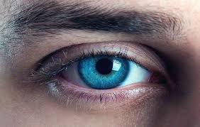 Pin By Sarabear On Eyes Aesthetic Eyes Light Blue Eyes Eye Photography