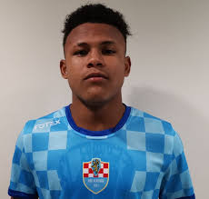 UPOZNAJTE VUKOVARSKE JUŽNOAMERIKANCE: Ovo su Lugo, Robin, Alejandro,  Mathias i Franco!