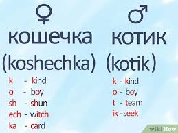 Simply select a language and press on the speaker button to listen to the pronunciation of the word. How To Say Cat In Russian 5 Steps With Pictures Wikihow