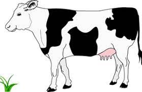 Dessin Vectoriel De Vache Simple Vecteurs Publiques Vache Dessin Dessin Vectoriel Images Vache