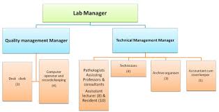 Organizational Chart Of A Hospital Laboratory Www