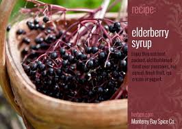 Recipes Elderberry Syrup From Mb Spice Co Coing Herbe