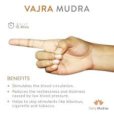 Yoga Saga Check On This Mudra To Heal Yourself Naturally Yoga Yogaposes Yogapractice Yogaandmeditation Minima Mudras Vajra Yoga Mantras
