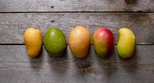 Tasheika | Travel Content Creator💜 | What'S Your Favorite Mango To Have?  It'S Mango Season In Jamaica. Almost Every Type Of Jamaican Mango Tree  Bears Fruit Right Now. Some… | Instagram