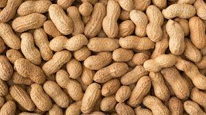 Battered Company Behind Peanut Allergy Therapy Says It S Ready To Move Forward Marketwatch