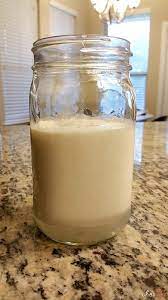 how to make your own milk kefir 如何製做屬於你的牛奶克菲爾 curious regine milk kefir kefir make it yourself