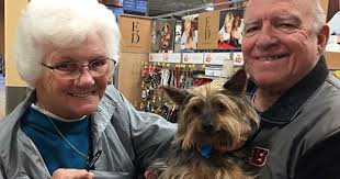 Start browsing hundred of dogs online today. Luv4k9s Dog Adoption Event At Pet Supplies Plus Kettering