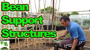 Build Inexpensive Strong Support Frames For Runner Beans And Climbing Beans  - Youtube