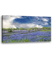 Image result for Bluebonnet Blue 1958 Plymouth