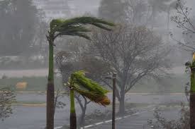 We did not find results for: Estos Son Los Nombres De Huracanes Para Este Ano 2021 Noticel La Verdad Como Es Noticias De Puerto Rico Noticel