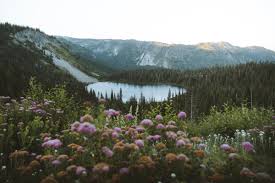 To spend a leisurely weekend lounging on the beach of. Rustic Cabin Rentals Washington State Best Cabins In Washington