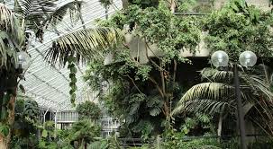 This became the starting point for ikea and tom dixon to explore urban farming together. Urban Jungle Indoors Is The New Outdoors Ikea