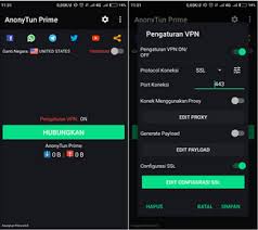 It provides browsing without any ads and harmful and malicious files in your mobile device. Download Anonytun Pro Terbaru 2018 Mod Unlimited Pro Shobatasmo