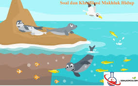 We did not find results for: 20 Soal Klasifikasi Makhluk Hidup Pilihan Ganda Dan Jawaban