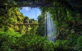 https://encrypted-tbn0.gstatic.com/images?q=tbn:ANd9GcSTAC2mPQ5ipUZN_dNphI3Kgf653KYpZymSBAYpk07qThKlgTy1f1Rdd4i4uTPrCB9_5AI&usqp=CAU