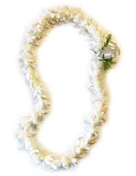 Image result for Sebaea leiostyla